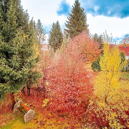 Carlsruh 3* Braunlage