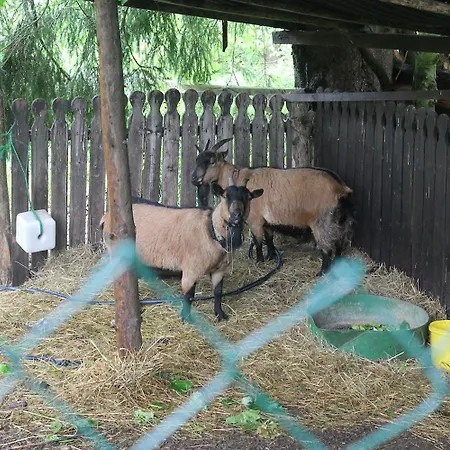 Carlsruh מלון בראונלאגה