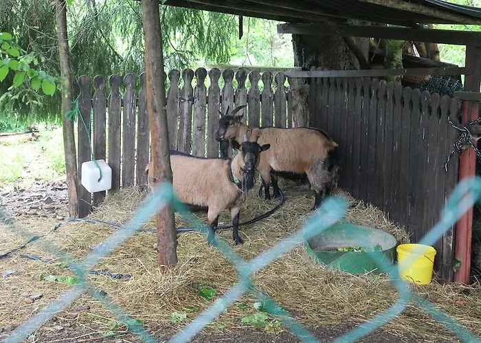 Carlsruh Hotel Braunlage